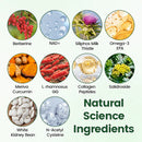 Moringa | Adesivo de Microagulhas Nano 10 em 1