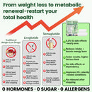 Moringa | Adesivo de Microagulhas Nano 10 em 1