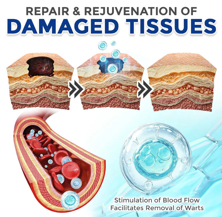 flysmus® Spermidine cream